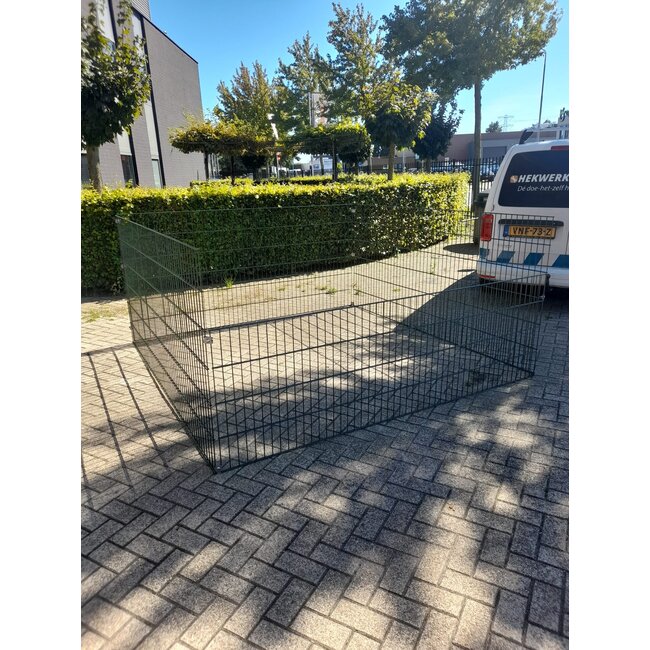 Bladkorf Standaard - Laag