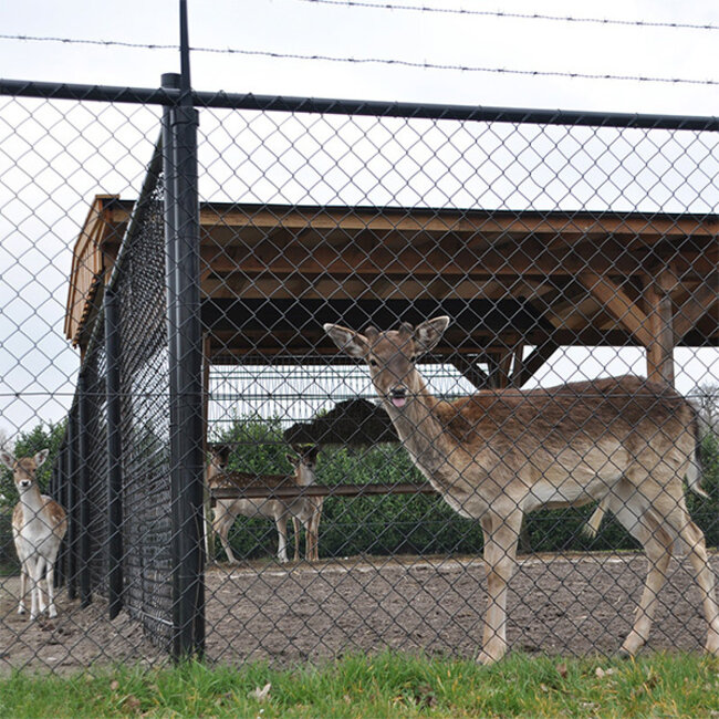 Harmonicagaas geplastificeerd per rol van 5, 10, 15 of 25 meter