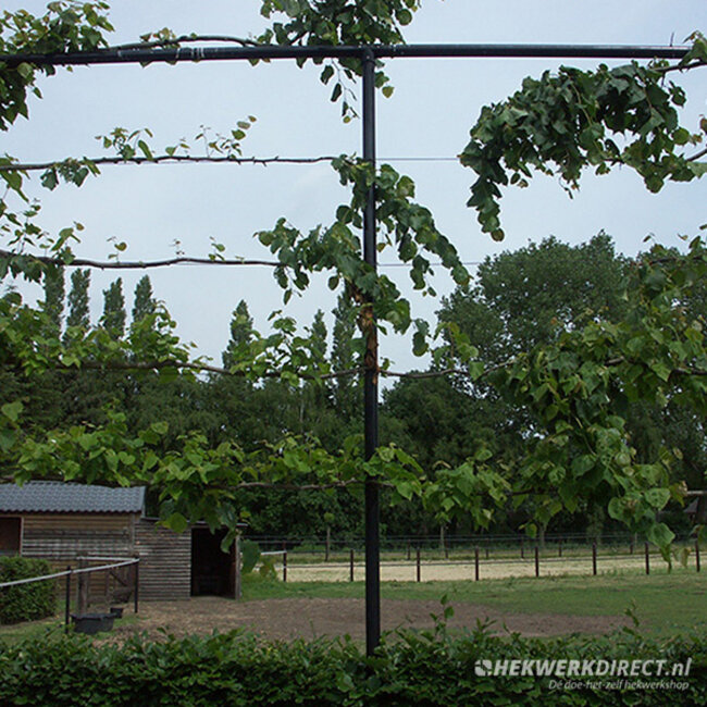 Compleet leilinde frame pakket