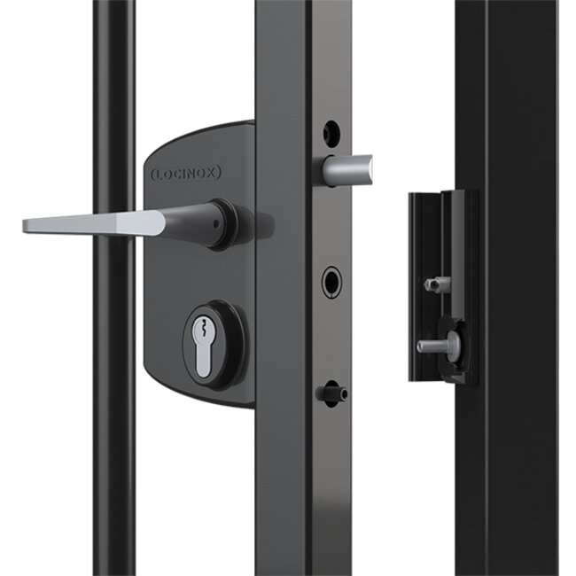 Spijlenpoort dubbel Excellent verzinkt - complete set