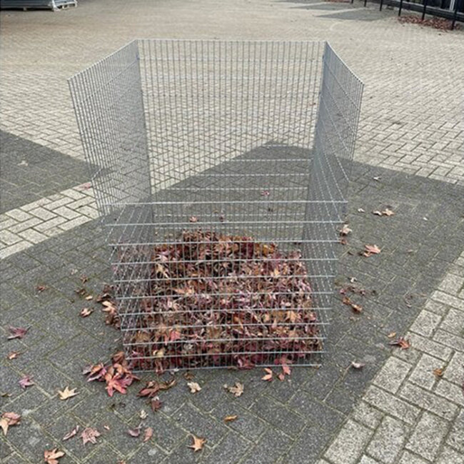 Bladkorf budget - Small