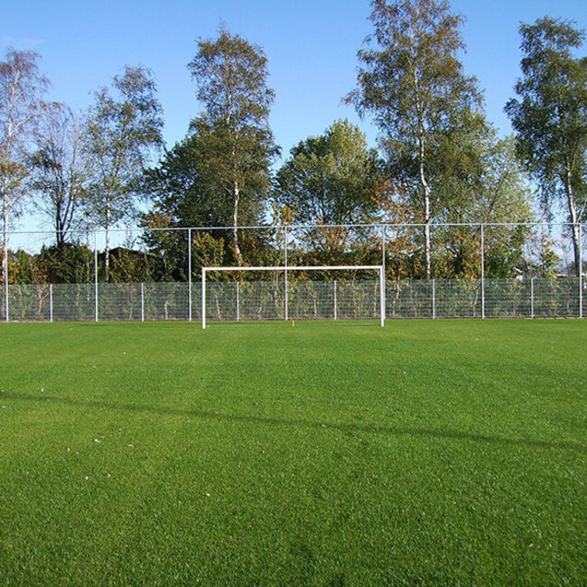 Ballenvanger stellage voor voetbalveld - Premium
