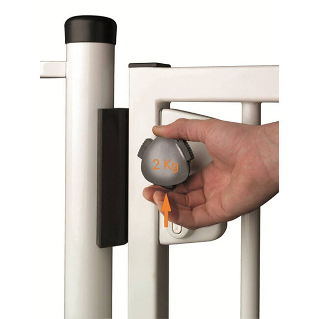 LAKZ P1 WSI | Zwembadslot - 40 mm kokerprofiel