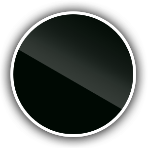 RAL 9005