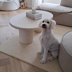 RdeB Salontafel of Salontafelblad - Betonlook / Beton-ciré - 70cm breed