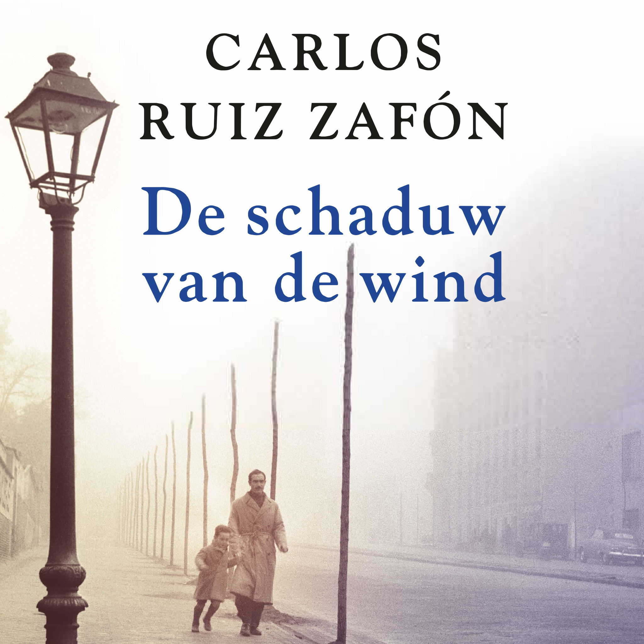 the shadow wind carlos zafon