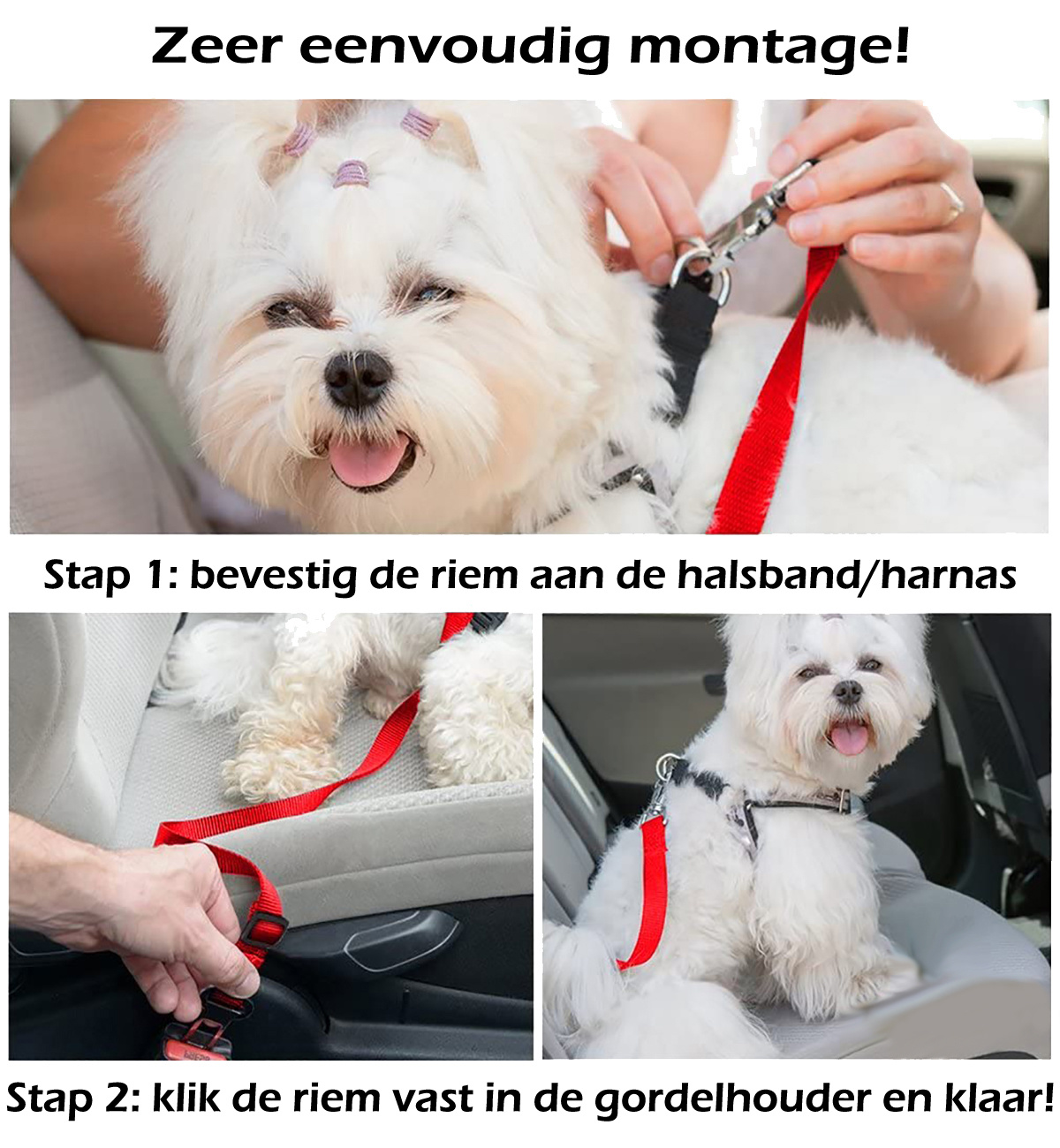 Nomfy Hondengordel Autogordel Universele Hondenriem Auto Verstelbaar Rood