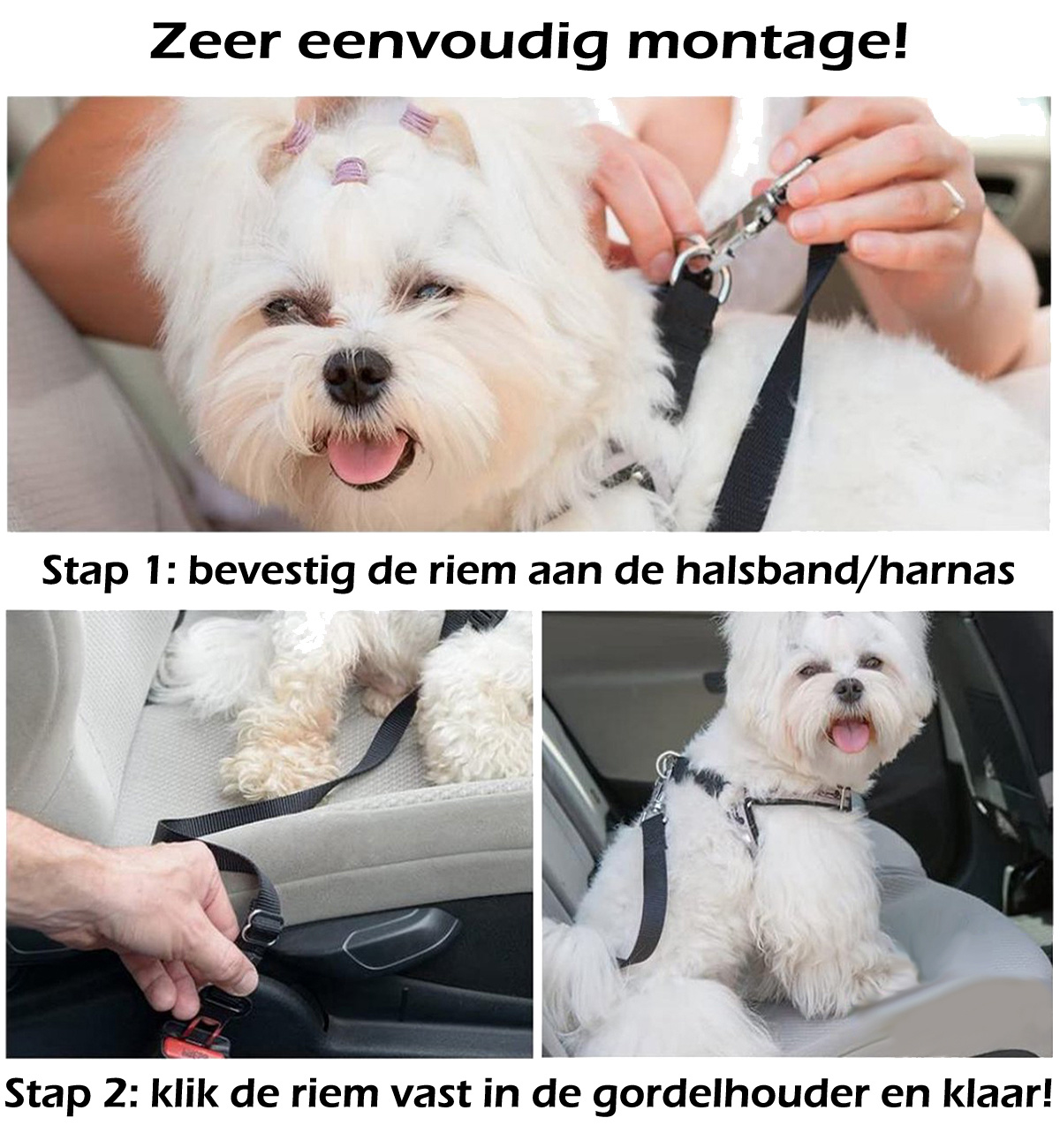 Nomfy Hondengordel Autogordel Universele Hondenriem Auto Verstelbaar Zwart