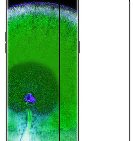 BASEY. BASEY. OPPO Find X5 Screenprotector Glas Full Cover