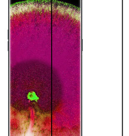 NoXx NoXx OPPO Find X5 Screenprotector Glas Full Cover