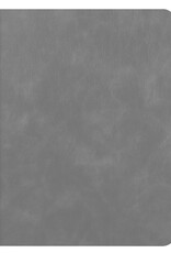 BASEY. Hoesje Geschikt voor iPad 10.2 2021 Hoes Case Luxe Hoesje Hard Cover - Hoes Geschikt voor iPad 9 Hoesje Bookcase Met Uitsparing Geschikt voor Apple Pencil - Grijs