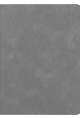 BASEY. Hoesje Geschikt voor iPad 10.2 2021 Hoes Case Luxe Hoesje Hard Cover Met Screenprotector - Hoes Geschikt voor iPad 9 Hoesje Bookcase Met Uitsparing Geschikt voor Apple Pencil - Grijs