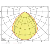 ATEX Schijnwerper TL-EX 40 W - Zone 1/21 - KSE-Lights
