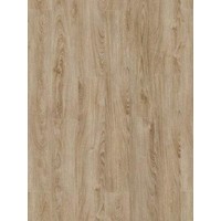 22231 Midland Oak Roots Dry Back PVC