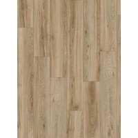 22229 Blackjack Oak Roots Dry Back PVC