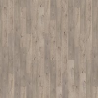 81031 Ferne Authentic Plank Dryback PVC