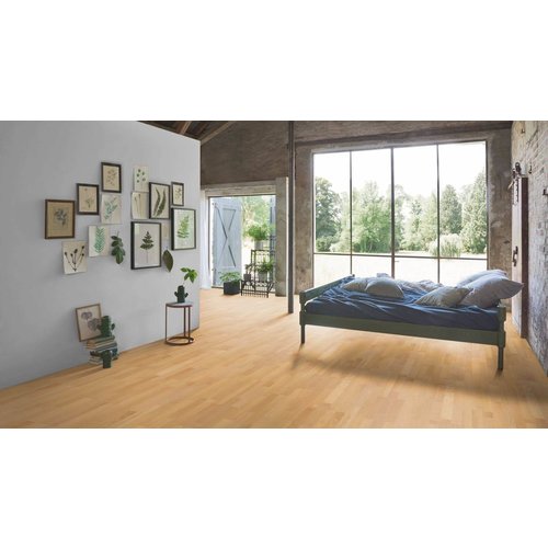 Parador 1569684 Beuken Basic 11-5 Scheepsvloer Parket