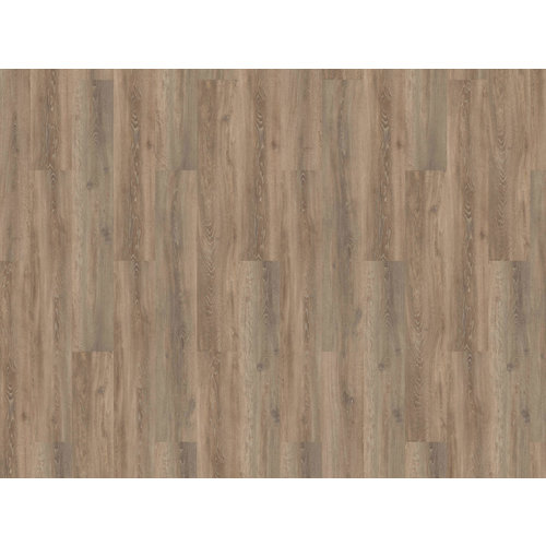 MFlor 56313 Calabria Authentic Oak XL Dryback PVC