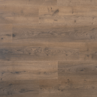 04951 Dille Spontaan Laminaat