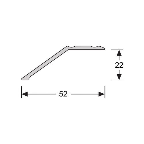 Basics4Home Overgangsprofiel zelfklevend 22mm