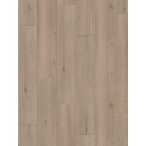 Hoomline 6082 Geul Elite XL Aqua Protect Laminaat Hoomline 6082 Geul Elite XL Aqua Protect Laminaat