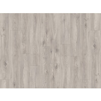 58936 Sierra Oak Roots Dry Back PVC