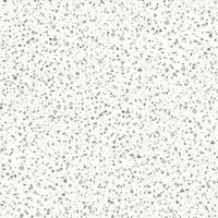 46935 Fiastra Roots Dry Back Tegel XL PVC