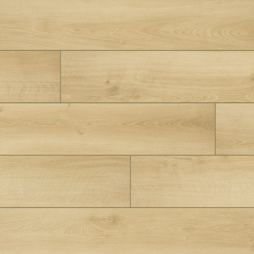 Classen EIR-58244 Beige eiken 8.0 V4 laminaat Classen EIR-58244 Beige eiken 8.0 V4 laminaat
