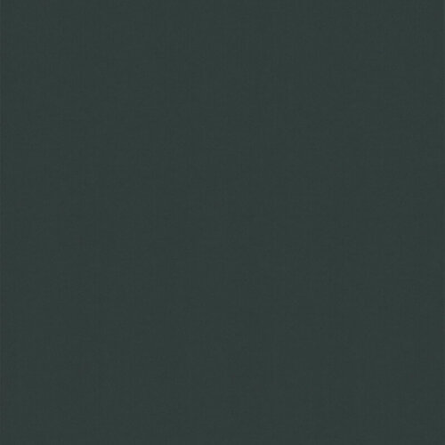 Tasba Floors Plakplint 23200 Antraciet RAL7016