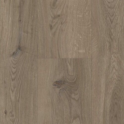 BerryAlloc 62001414   Gyant  Dark Brown  Glorious XXL Berry-Alloc  9.0 V4 Laminaat