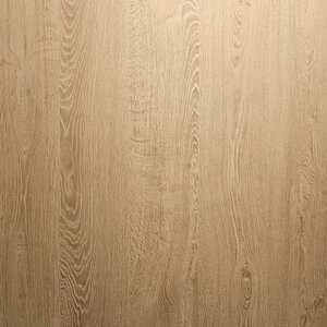 Basics4Home HSHB0801 Cirkel Naturel Eiken Basics4Home HSHB0801 Cirkel Naturel Eiken