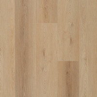 NAK5761 Lion Nakuru Click PVC