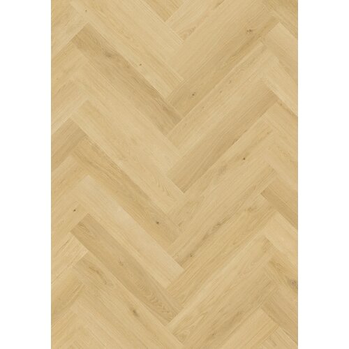 Quick-Step IMD8243 Nootmuskaat Eik Impressive Design Visgraat Laminaat