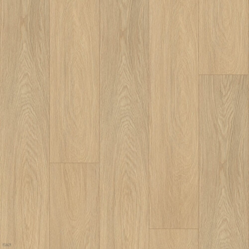 Meister 20083 Cloud Rap RM400S Rigid PVC