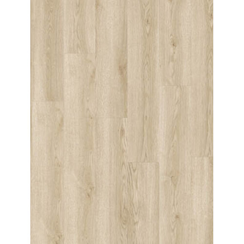 Beautifloor 400108262 Vlissingen Zeeland Klik PVC