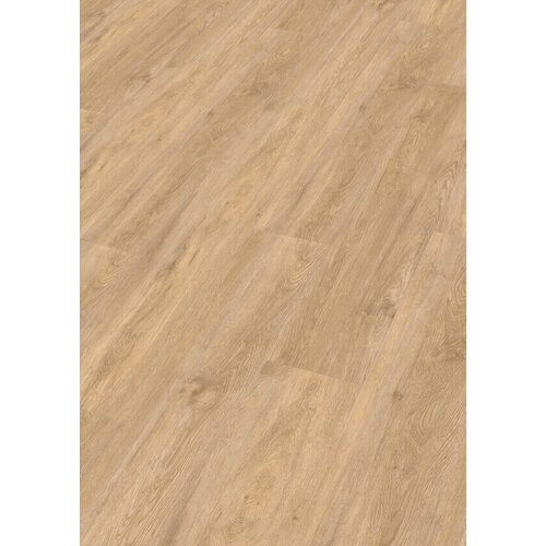 Meister 20195 Vogue DD155 Dry Back PVC