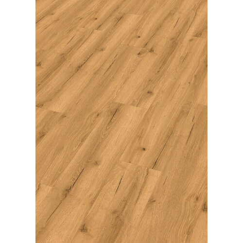 Meister 20193 Grunge Pop DD155 Dry Back PVC