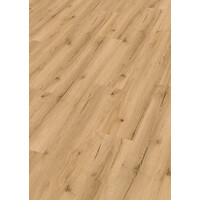 20192 Industrial Pop DD155 Dry Back PVC