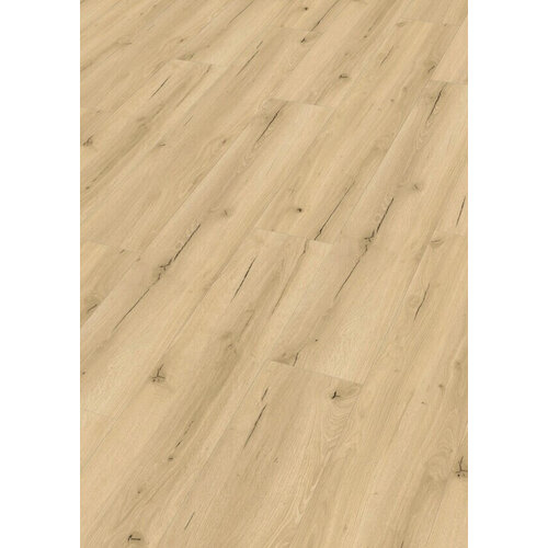 Meister 20191 Garage Pop DD155 Dry Back PVC