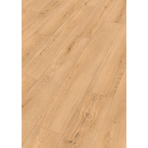 Meister 20196 Vintage Hollywood RM500S Rigid PVC