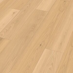 Meister 20204 Electric Blues Chanson RM500S Rigid PVC