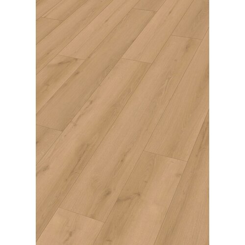 Meister 20202 Torch Song RM500S Rigid PVC