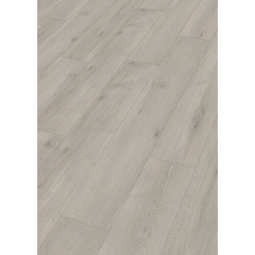 Meister 20201 Bossa Nova RM500S Rigid PVC