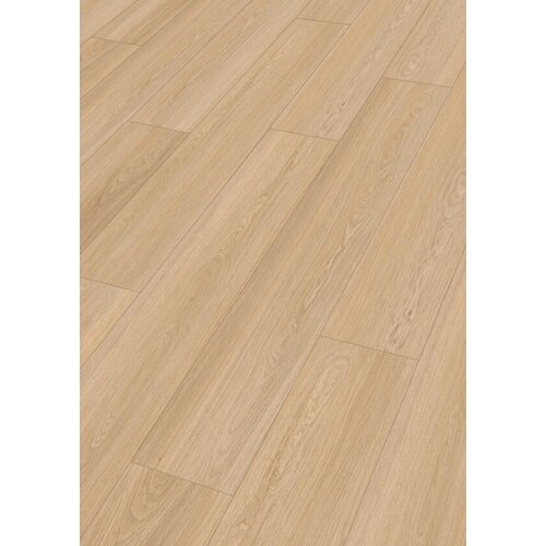 Meister 20199 Beat Poetry RM500S Rigid PVC