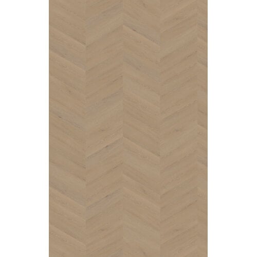 Belakos 21 Cervo Hongaarse Punt / Weense Punt Dryback PVC