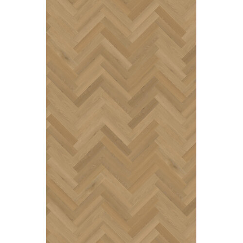 Belakos 32 Borgo Visgraat XL Dryback PVC