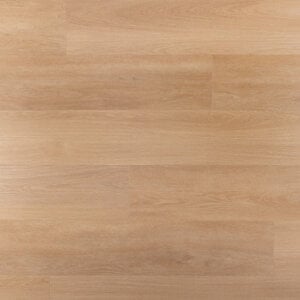 Douwes Dekker 10504 Tompouce Riante Plank Ambitieus Dry Back PVC