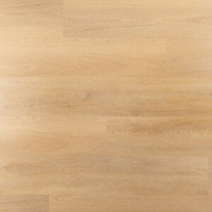 Douwes Dekker 10500 Brioche Riante Plank Ambitieus Dry Back PVC