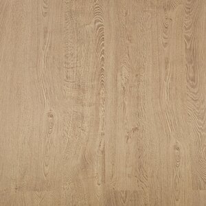 Basics4Home A801 Cirkel eik naturel 8.0 Basis Laminaat