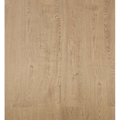Basics4Home A801 Cirkel eik naturel 8.0 Basis Laminaat